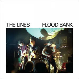 Flood bank